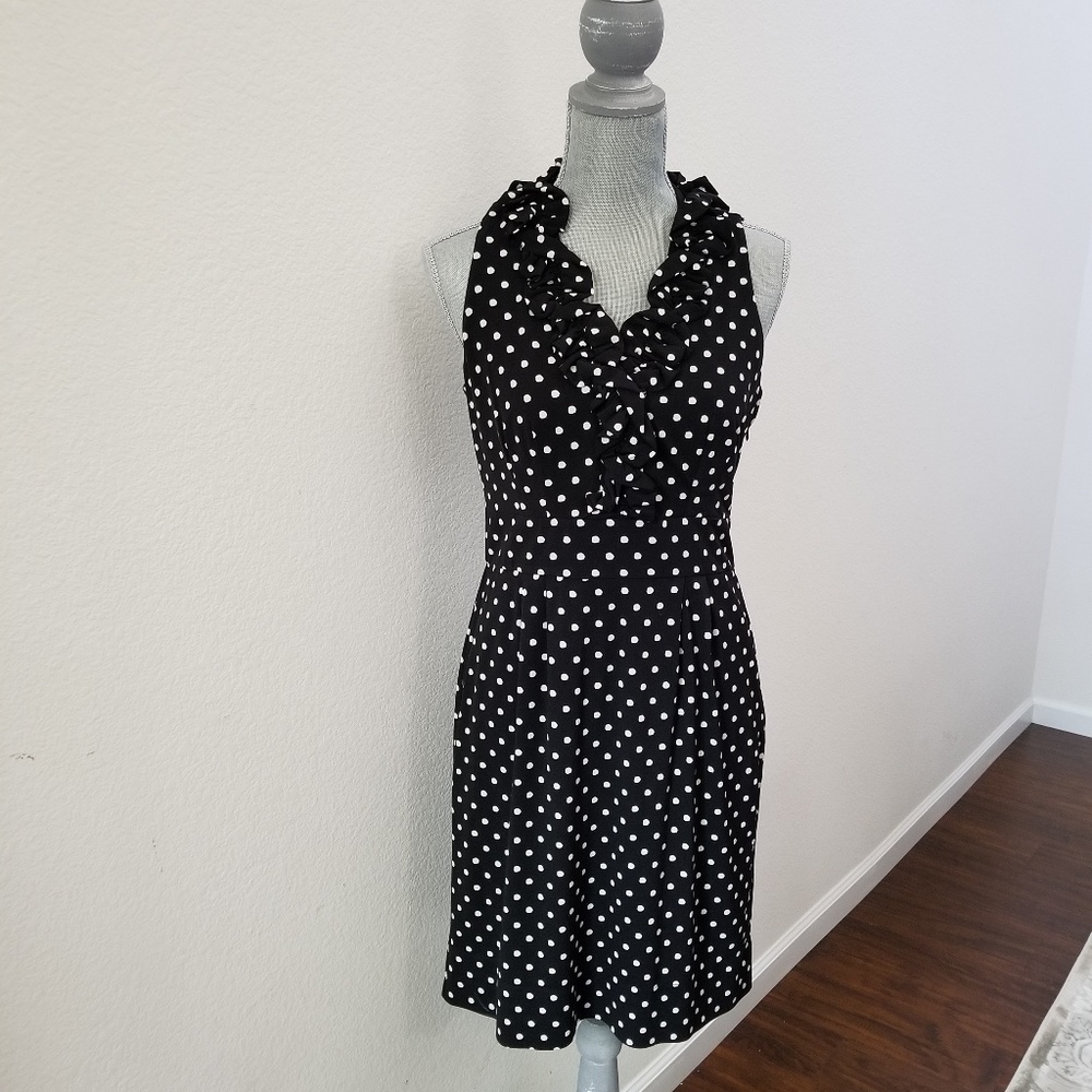 EUC Taylor Polka Dot Dress